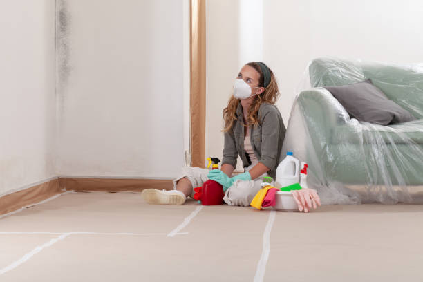 Reliable Black Mold Remediation contractor in Manchester, MD by Car Mold Remediation